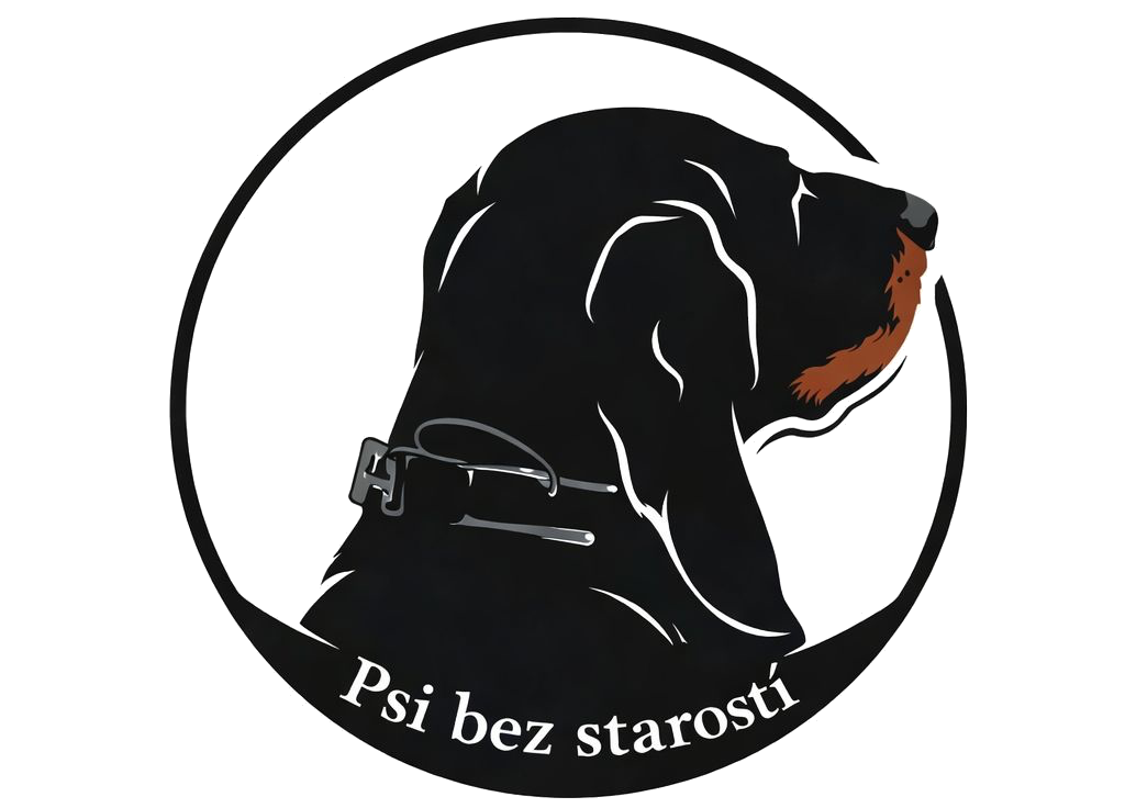 Psi bez starostí